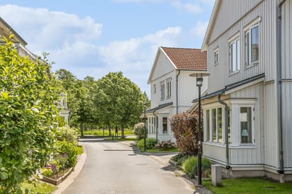 Bild av närområdet