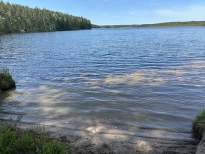 Bild av närområdet