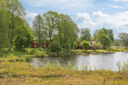 Bild av närområdet