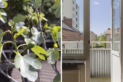 Balkong eller utsiktsbild