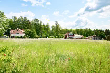 Bild av närområdet