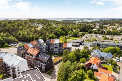 Bild av närområdet