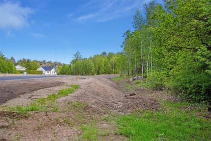 Bild av närområdet