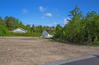 Bild av närområdet