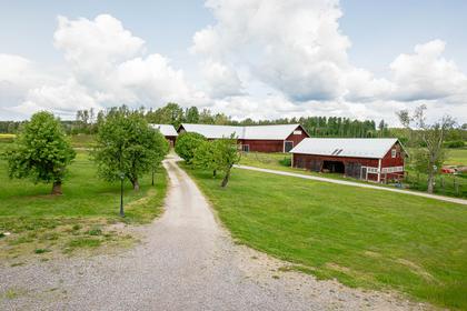 Bild av närområdet