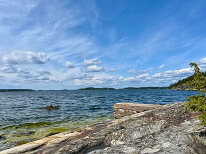 Bild av närområdet