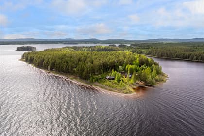 Bild av närområdet