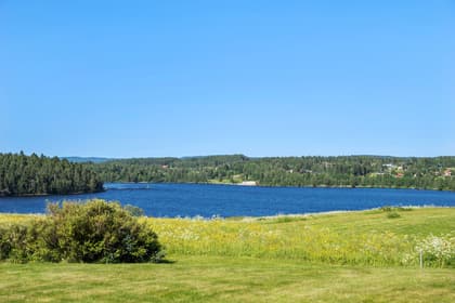 Bild av närområdet