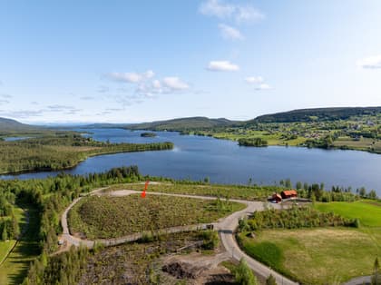 Bild av närområdet