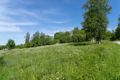 Bild av närområdet