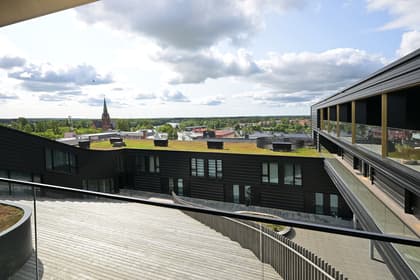 Bild av närområdet