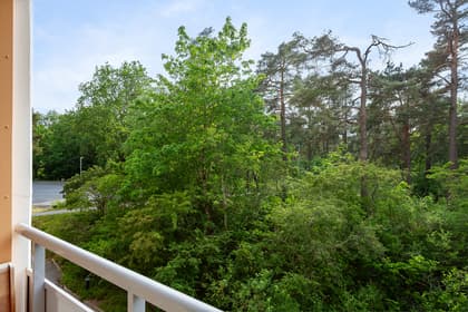 Oxelvägen 49, Centrum