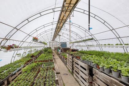 Bild av närområdet