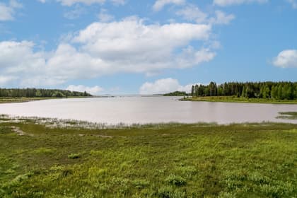 Bild av närområdet