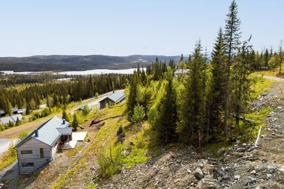 Blåbärsstigen 16, Dorotea