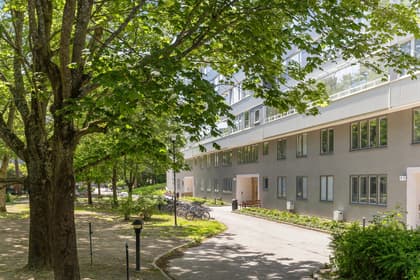 Bild av närområdet