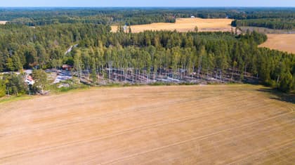 Bild av närområdet