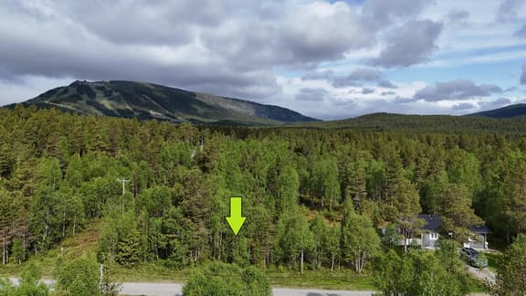 Västmon 56, Härjedalen