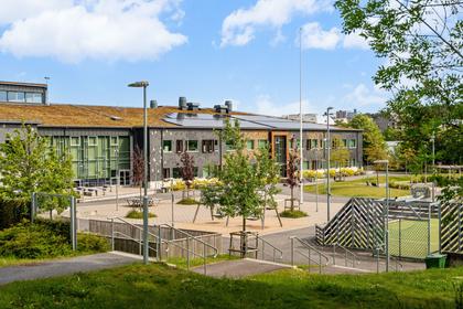 Bild av närområdet