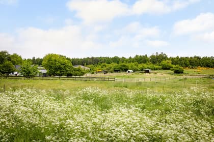 Bild av närområdet