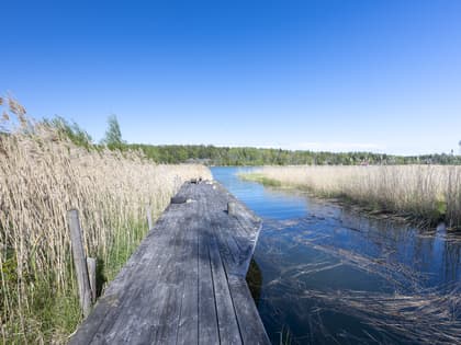 Bild av närområdet