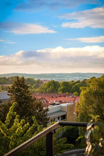 Bild av närområdet