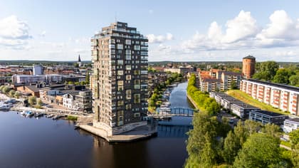 Bild av närområdet