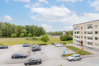 Bild av närområdet