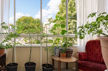 Balkong eller utsiktsbild