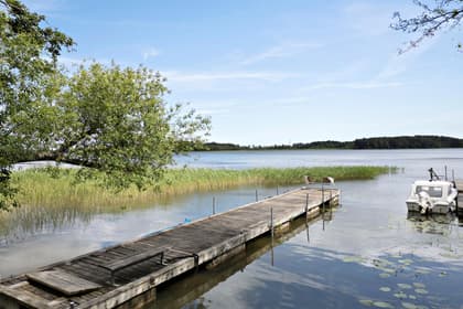 Bild av närområdet