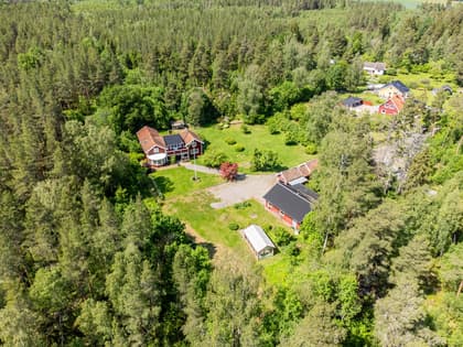 Tiby Skogshyddan 225, Börje