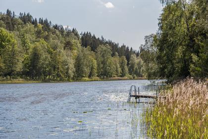 Bild av närområdet