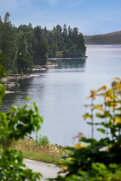 Bild av närområdet