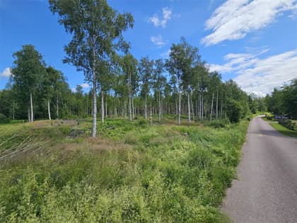 Bild av närområdet