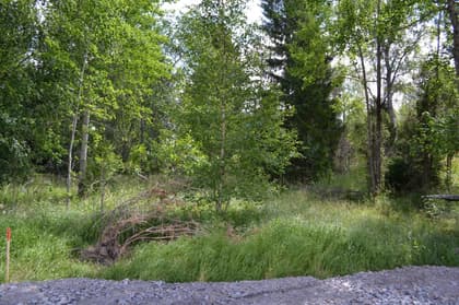 Allemoravägen 11F, Riala