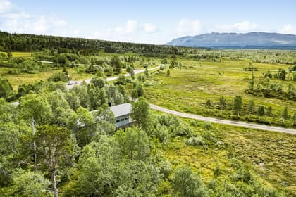 Bild av närområdet