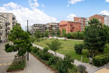 Bild av närområdet