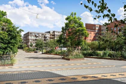 Bild av närområdet