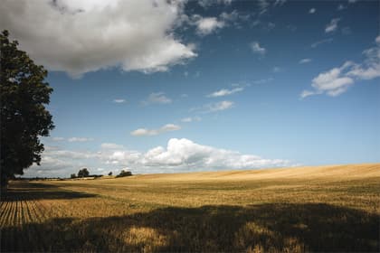 Bild av närområdet