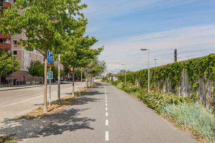 Bild av närområdet