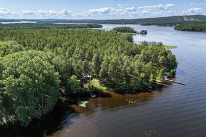 Bild av närområdet