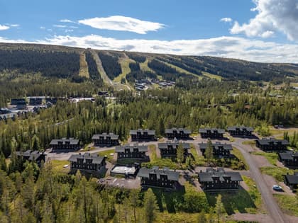 Bild av närområdet