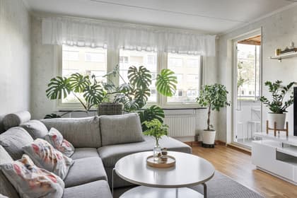 Tulpangatan 11, Fosiedal