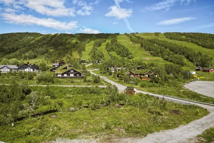 Bild av närområdet