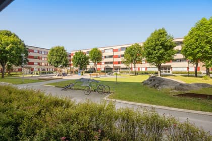 Bild av närområdet