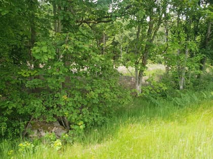 Illustrerad karta över fastigheten eller området