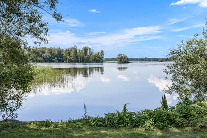 Bild av närområdet