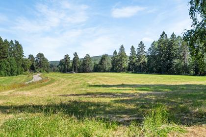 Bild av närområdet