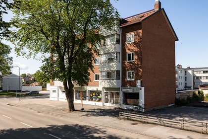 Bild av närområdet