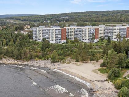 Bild av närområdet